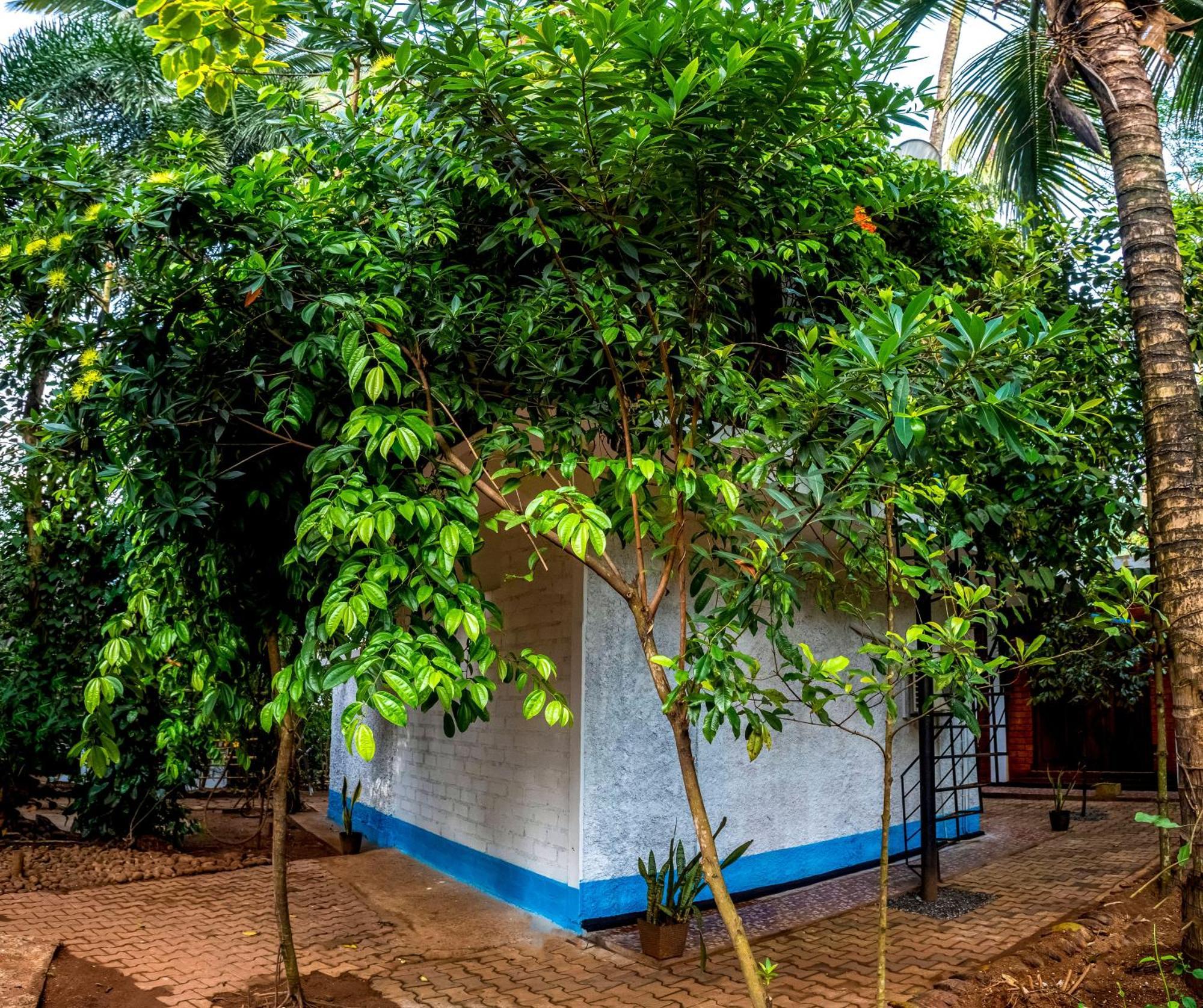 Jays Place Matale Kawudupelella Extérieur photo